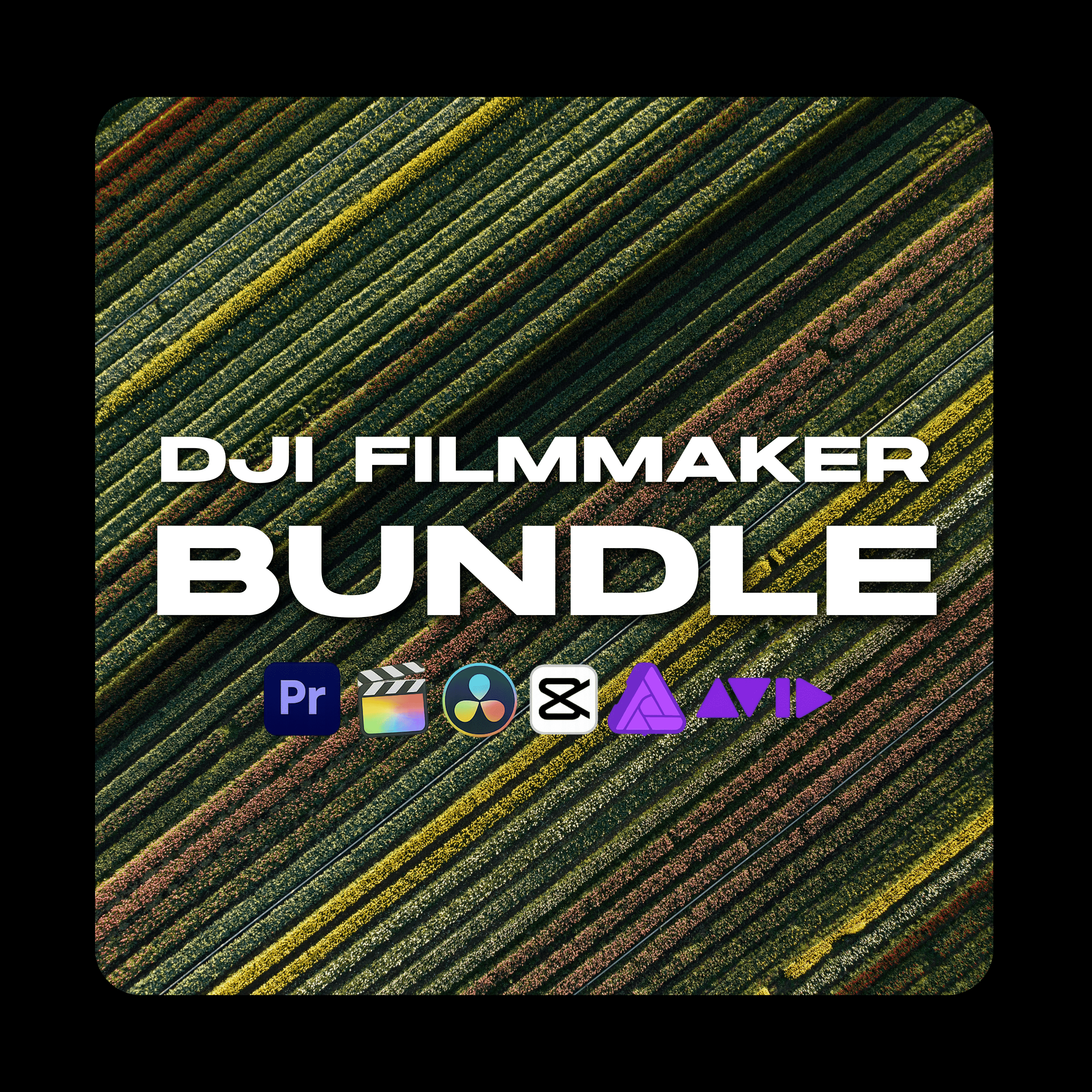 1001 Shades The DJI Creator Toolkit